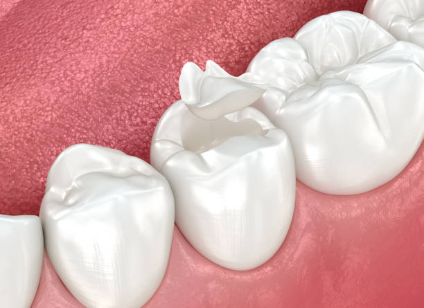 Our Range of Dental Services in Orlando, FL